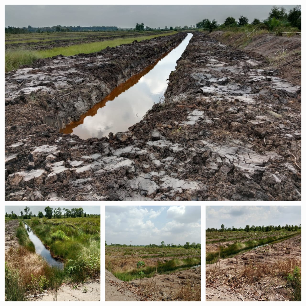 LAHAN_SAWAH